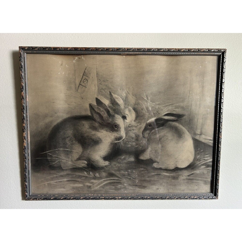 Vintage 1895 Bunny Rabbit Charcoal Crayon Drawing Framed Art Cottage Decor